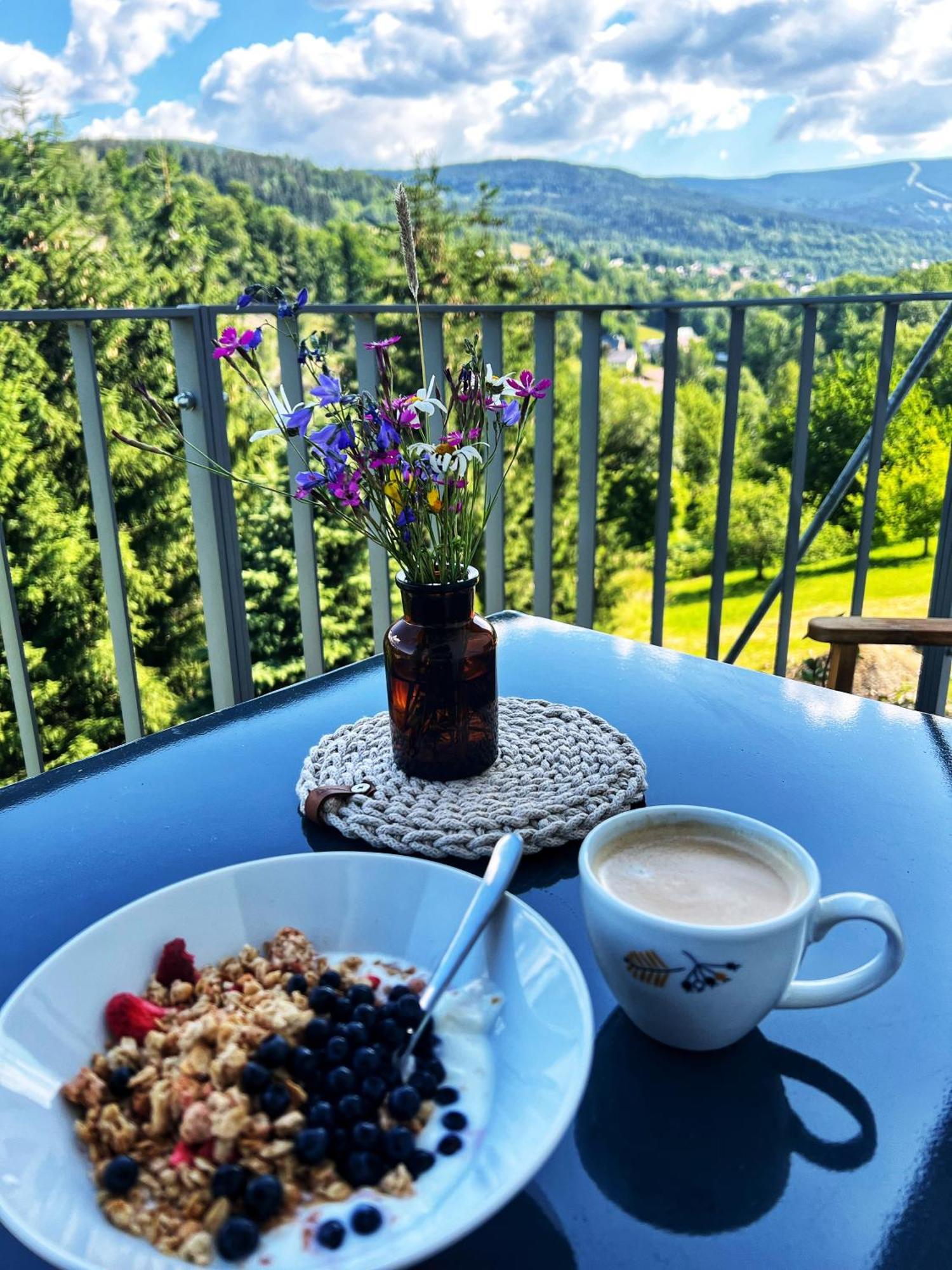 Apartman Vista Rokytnice Rokytnice nad Jizerou Exteriér fotografie