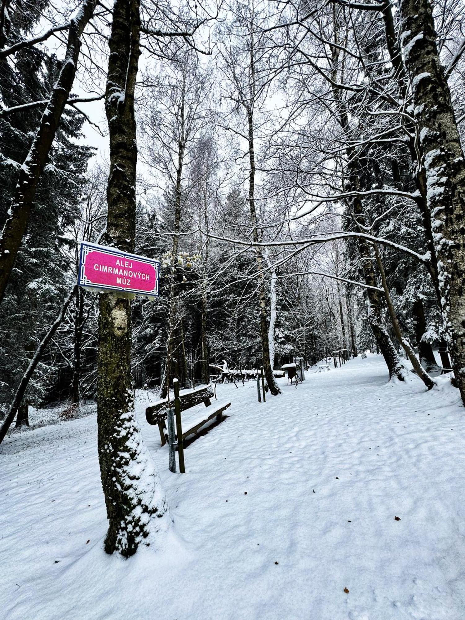 Apartman Vista Rokytnice Rokytnice nad Jizerou Exteriér fotografie